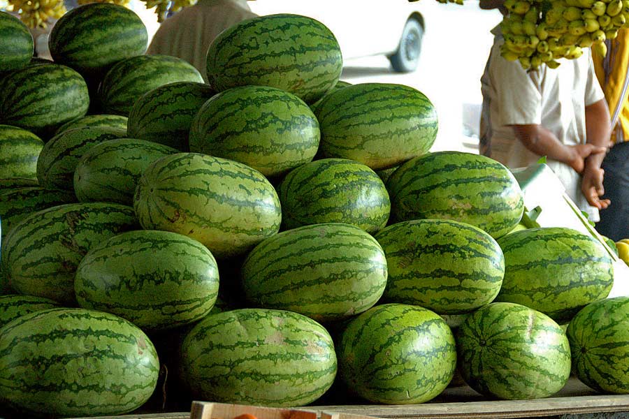 Fujairah Friday Market Fujairah Friday Market