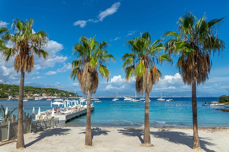 The palm-lined white sand of La Garoupe Beach, Antibes The palm-lined white sand of La Garoupe Beach, Antibes