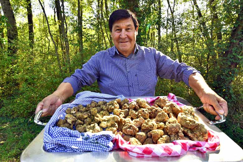 Giancarlo Zigante founder of 'Zigante Truffle Days'