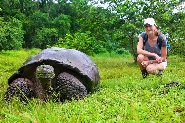 Giant tortoise on Santa Cruz Island, Galapagos National Park, Ecuador © Donyanedomam - Fotolia.com