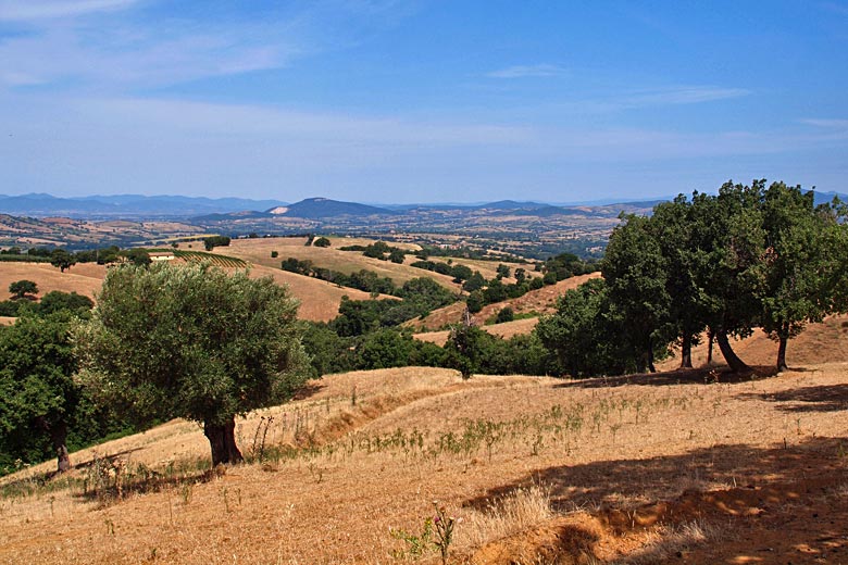 Even the green hills of Tuscany turn brown in summer