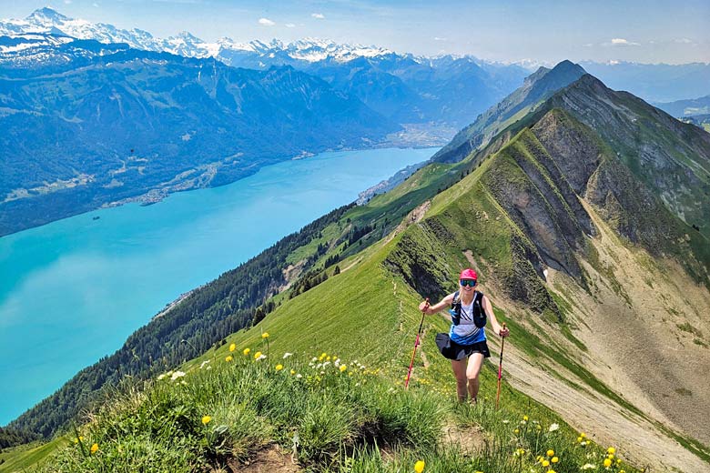Precipitous Hardergrat ridge above Lake Brienz
