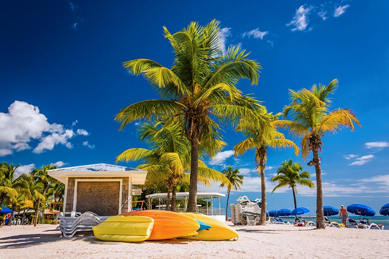 Higgs Beach, Key West