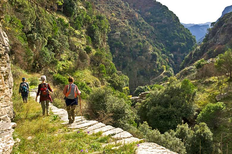 Hiking down a 'kalderimi' in Rondomo Gorge, Messinia, Greece