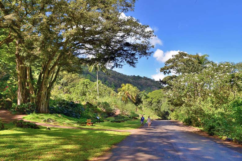 Hiking the Waimea Valley Trail, Oahu Hiking the Waimea Valley Trail, Oahu