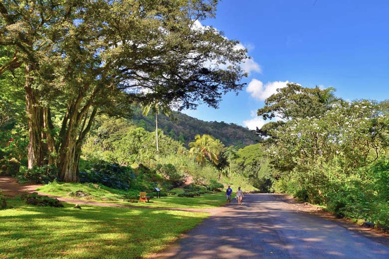 Hiking the Waimea Valley Trail, Oahu