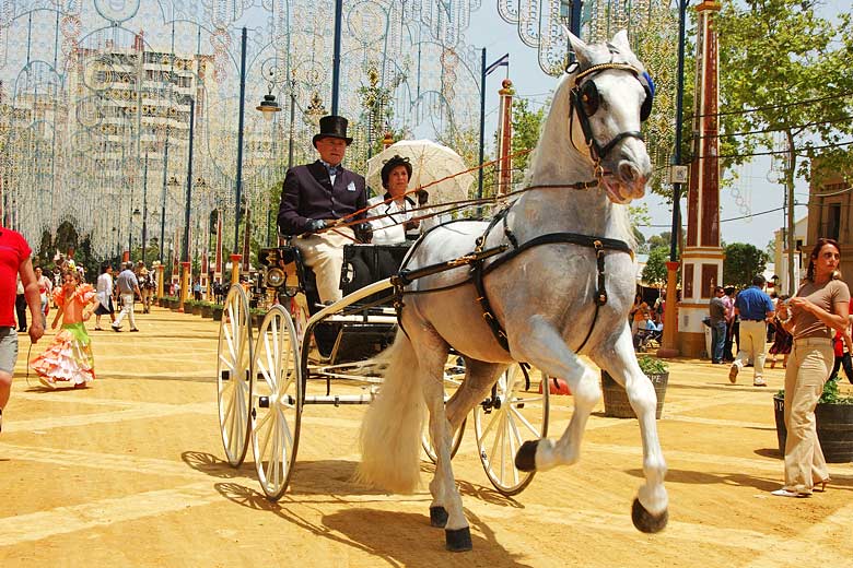 Horse fair in Jerez, Costa de la Luz, Spain © Taka - Alamy Stock Photo