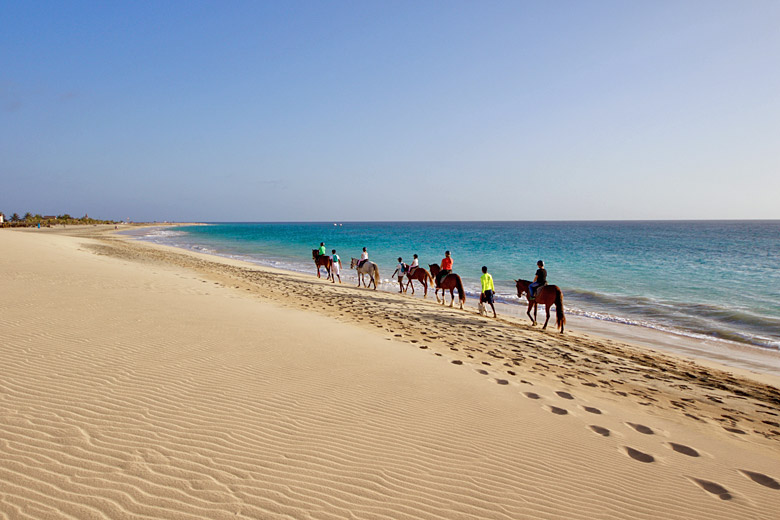 Horse riding along the shore, Sal Horse riding along the shore, Sal