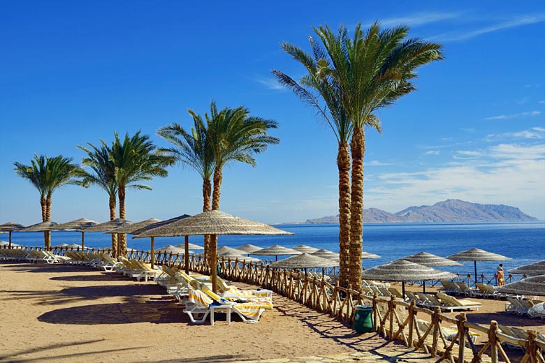 Sandy shores overlooking the Tiran Straits Sandy shores overlooking the Tiran Straits
