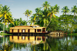 Top tips for visiting Kerala, India