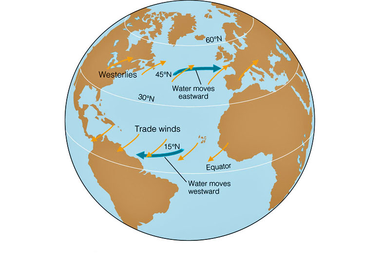 How trade winds and westerlies affect ocean currents