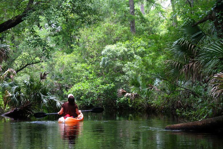 Kayaking in Ocala National Forest, Orlando, Florida © Marianne Muegenburg Cothern - Flickr Creative Commons