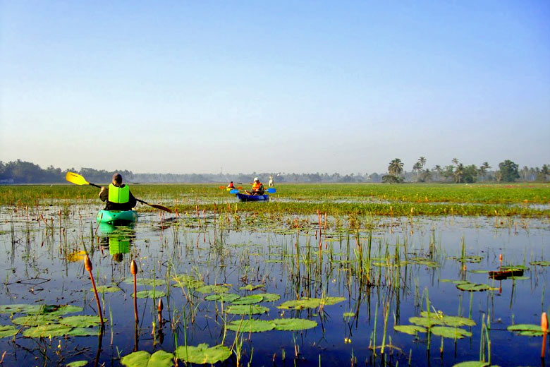 Kayaking on the Sal River Backwaters, Goa, India Kayaking on the Sal River Backwaters, Goa, India