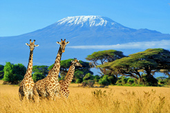 Why Kenya is the perfect winter escape