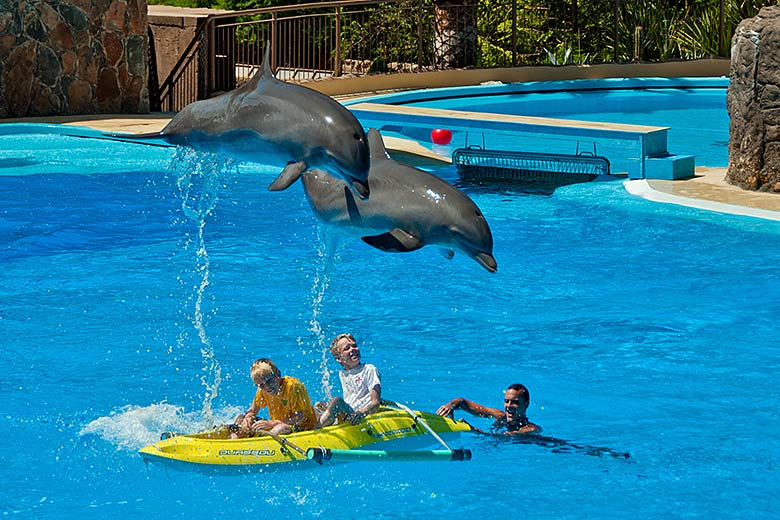 Kids having fun in Palmitos Park, Gran Canaria