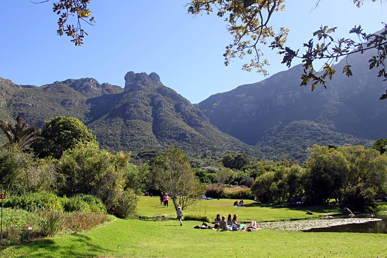 Picnic in the botanical garden at Kirstenbosch Picnic in the botanical garden at Kirstenbosch