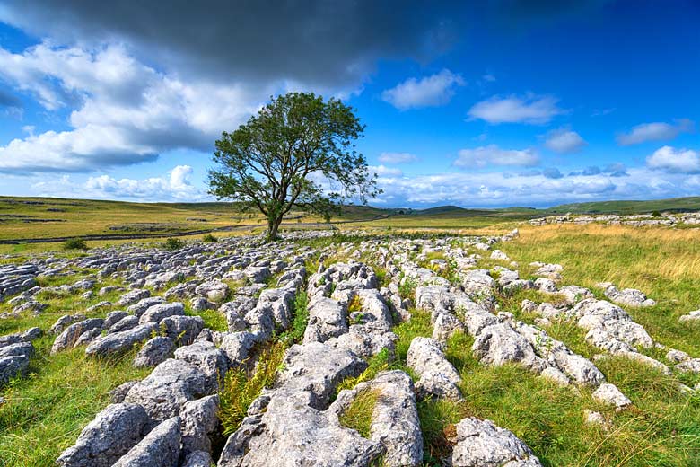 Limestone landscape of the Yorkshire Dales © Helen Hotson - Adobe Stock Image