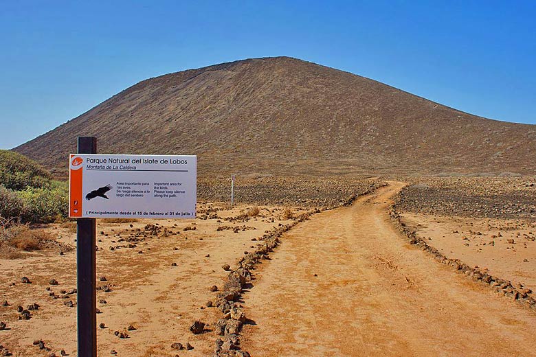 All of Lobos Island is a designated Natural Park © Jarek Prokop - Wikimedia Commons