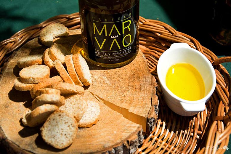 Learn about local olive oil production Learn about local olive oil production