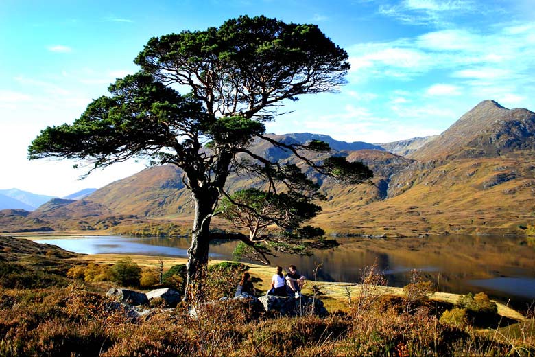 Tranquility found at the southern end of Glen Affric