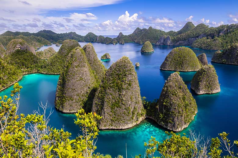 The paradise of Raja Ampat, West Papua The paradise of Raja Ampat, West Papua