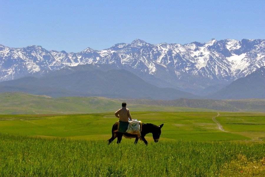 March in the High Atlas, Morocco