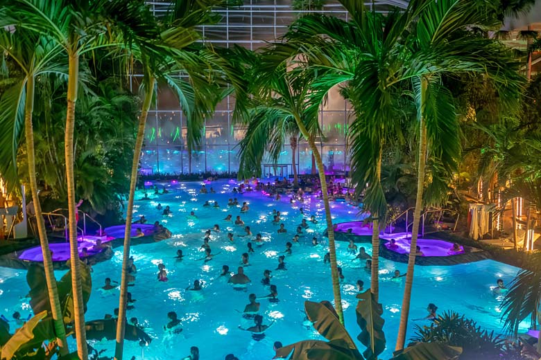 The palm-dotted ringed waters at Therme Bucuresti The palm-dotted ringed waters at Therme Bucuresti