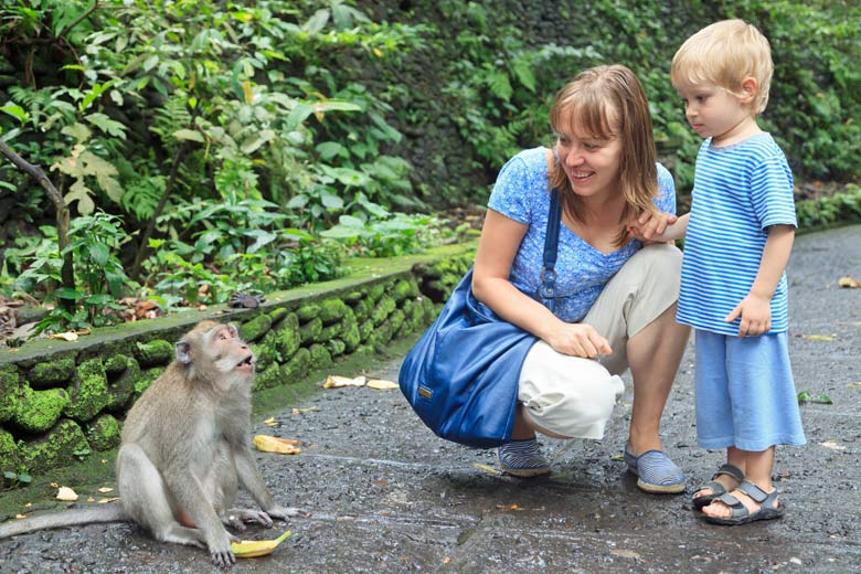 Meeting one of the monkeys © nadezhda1906 - Fotolia.com