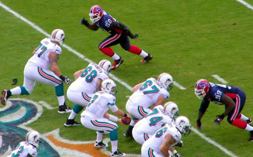 Miami Dolphins © runneralan - Flickr Commons
