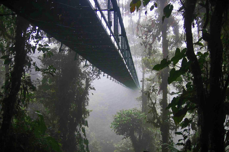 Skywalk through the Monteverde cloud forest, Costa Rica © Dirk van der Made - Wikimedia Commons