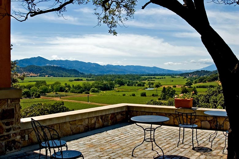 Vineyard in the Napa Valley, California, USA