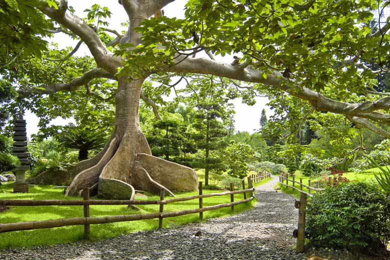 The National Botanical Gardens, Santo Domingo The National Botanical Gardens, Santo Domingo
