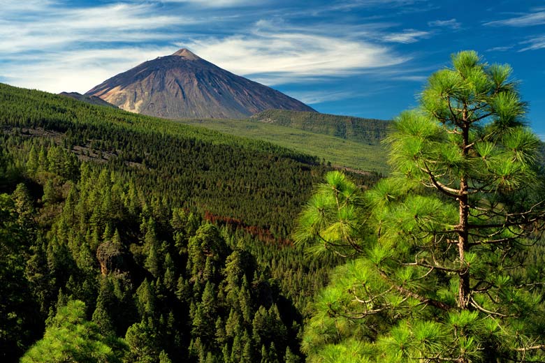 Looking up the Orotava Valley, Tenerife © Grischa Georgiew - Fotolia.com