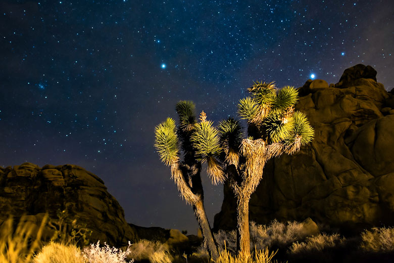 Go stargazing in the one of the Dark Sky Parks Go stargazing in the one of the Dark Sky Parks