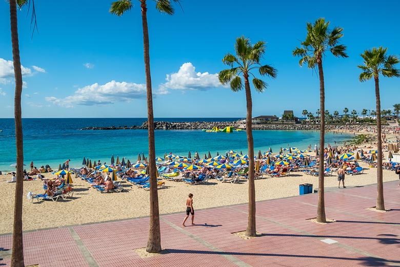 Palm-lined Playa de Amadores, Gran Canaria