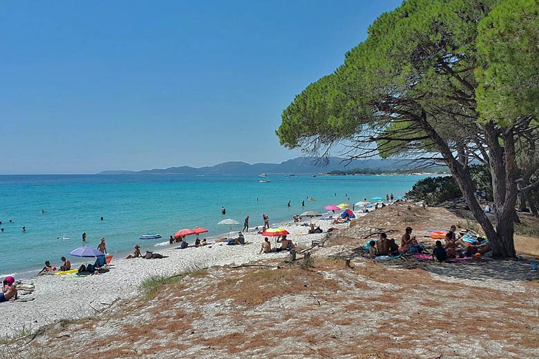 Palombaggia Beach Palombaggia Beach