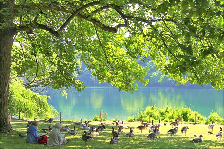 Enjoying the peace in Parc de la Tête d'Or