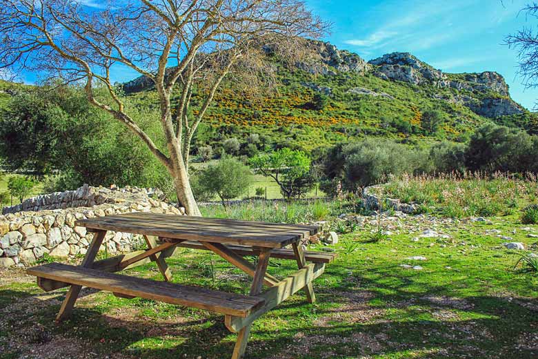 Picnic area in the Peninsula de Llevant Nature Park Picnic area in the Peninsula de Llevant Nature Park