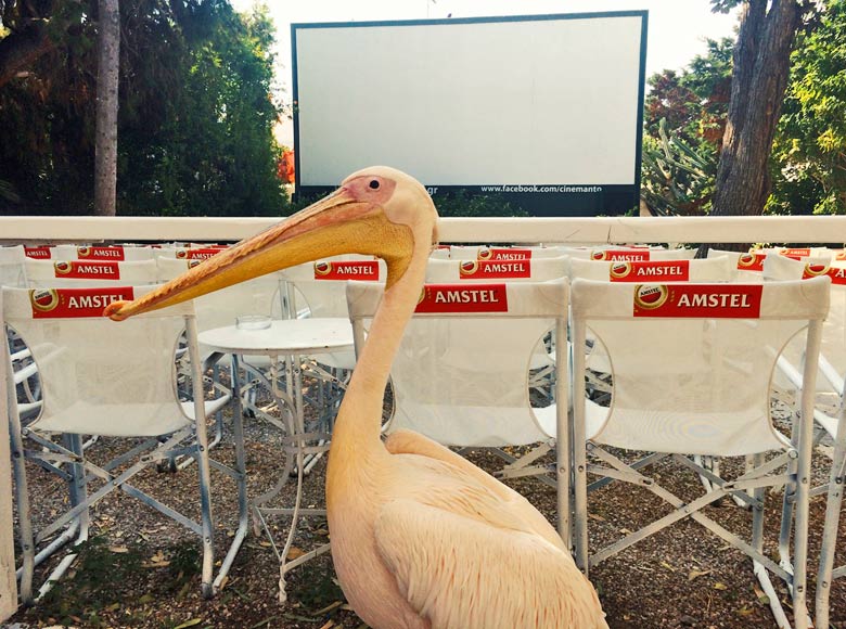 Local resident getting ready for a screening - photo courtesy of www.cinemanto.gr