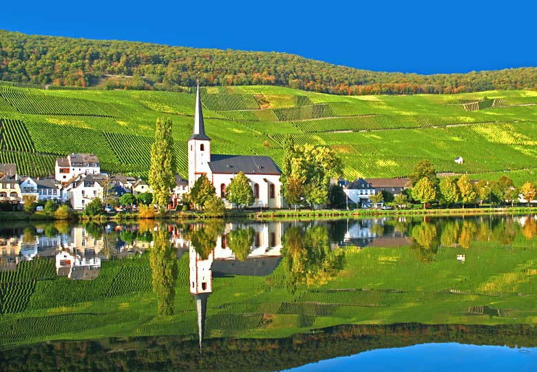 The tiny town of Piesport surrounded by vineyards The tiny town of Piesport surrounded by vineyards