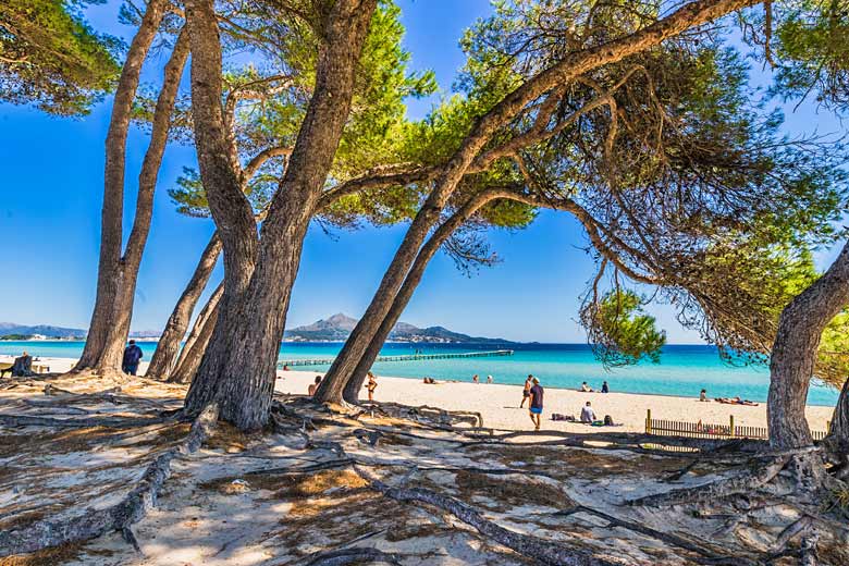 Platja de Alcúdia, Majorca