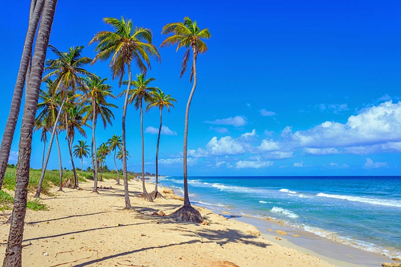 Wild Playa Santa María del Mar, just 10 miles from Havana