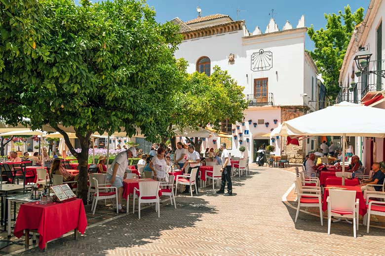 Unwind under the orange trees of Plaza de los Naranjos Unwind under the orange trees of Plaza de los Naranjos