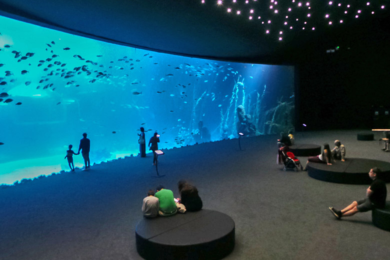 Poema del Mar Aquarium, Gran Canaria Poema del Mar Aquarium, Gran Canaria