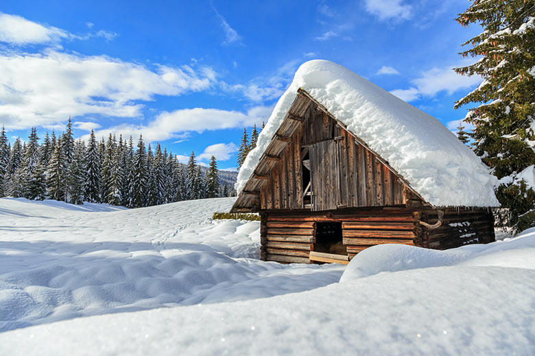 Snowy scenes in Pokljuka near Lake Bled Snowy scenes in Pokljuka near Lake Bled