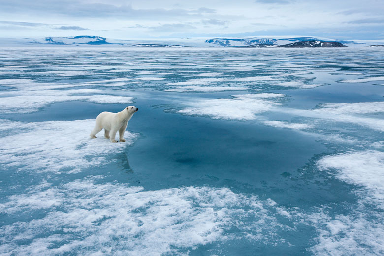 Melting ice in the Arctic Ocean