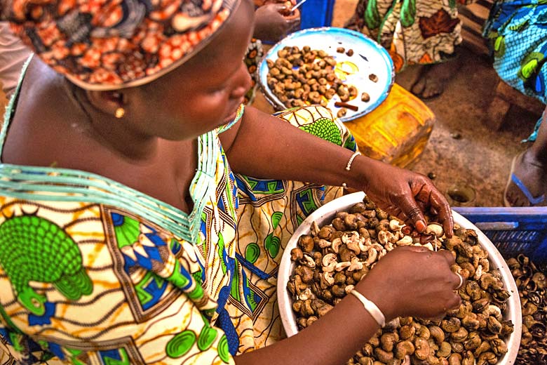 Processing cashew nuts in the Gambia