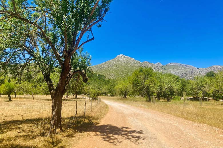 Walking through grand Finca Galatzo