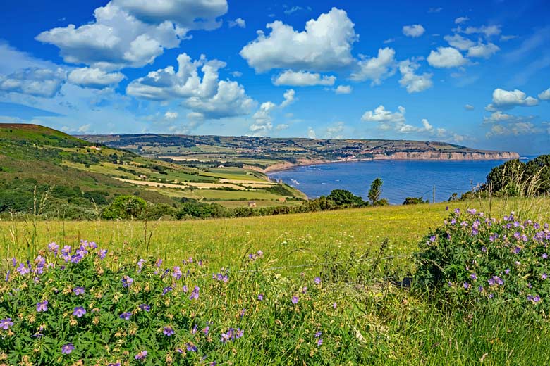 Robin Hood's Bay on a fine summer's day