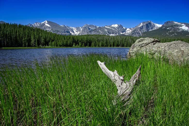 Summer in Rocky Mountain National Park